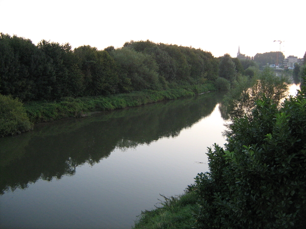 Gouden rivier de Leie