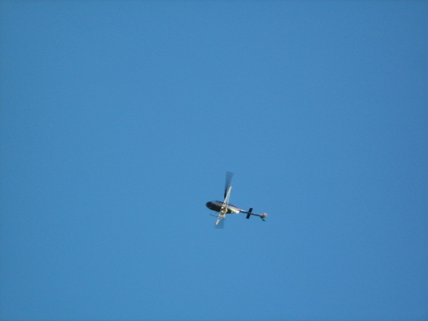 Is dat geen Libel in de lucht ?