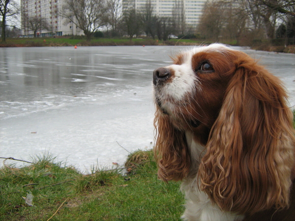 Brrr ! Toch koud hoor !