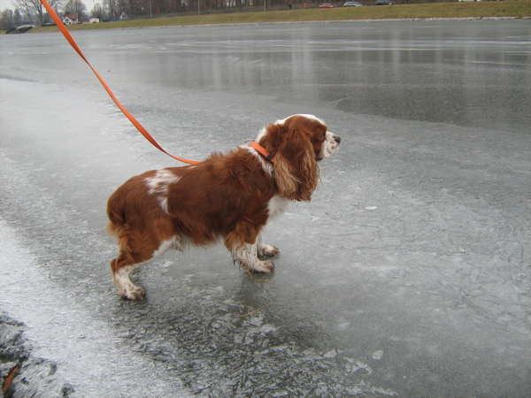 Joepie toch oppassen hoor!