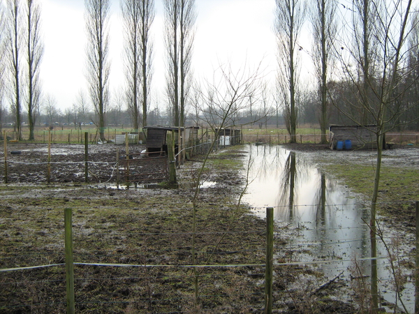 Verzopen weiland in Gent