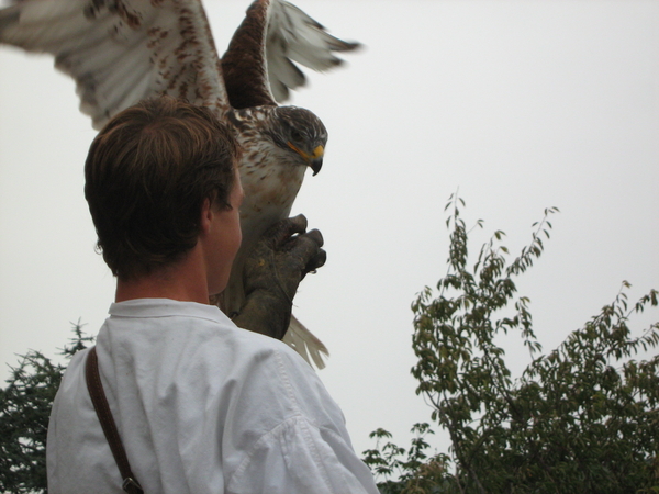 Boudewijnpark St Michiels Brugge