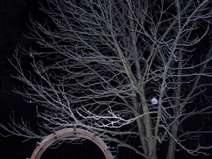 2005winter478
