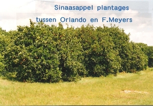 Florida0033
