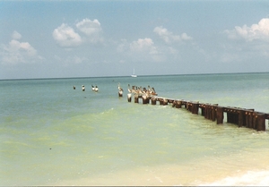 Florida0060