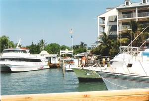 Florida0065