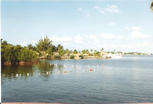 Florida0070
