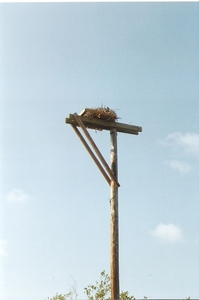Florida0073