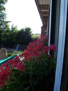 Noorwegen 2008 001