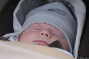 20090315n
