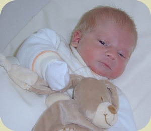 MALT 20090222 (117) Pf1