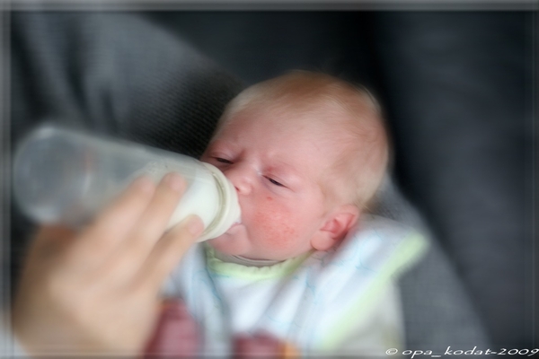 20090222-MALT (3) Pf1