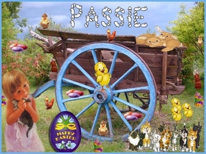 passie