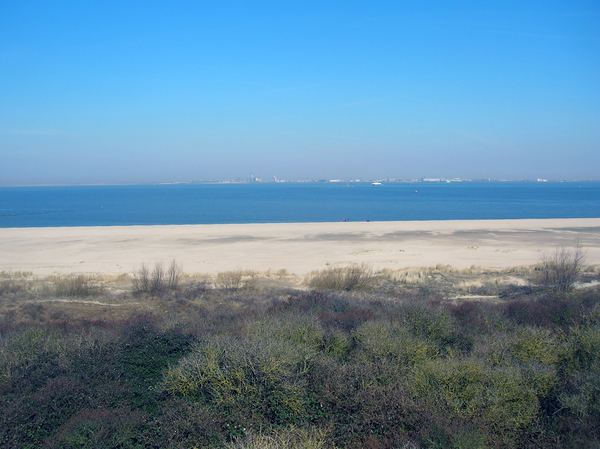 In de verte Vlissinge