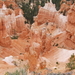 foto's reis USA- Bryce Canyon 2