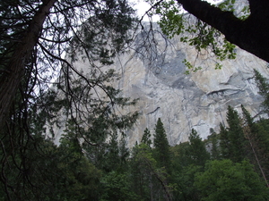 foto's reis USA-YOSEMITE N.P. 8