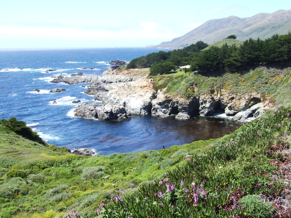 foto's reis USA- Langs de kust 3