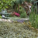 00-aaTuin%20039%20(Small)