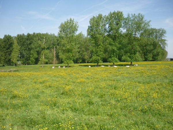 09.05.10.LENNIK .WAT EEN RUST !