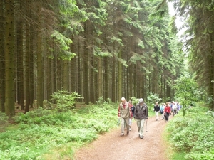 09.06.21.MALMEDY.IN DE ARDENSE BOSSEN