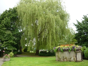 09.06.21.MALMEDY.MOOIE PARKEN