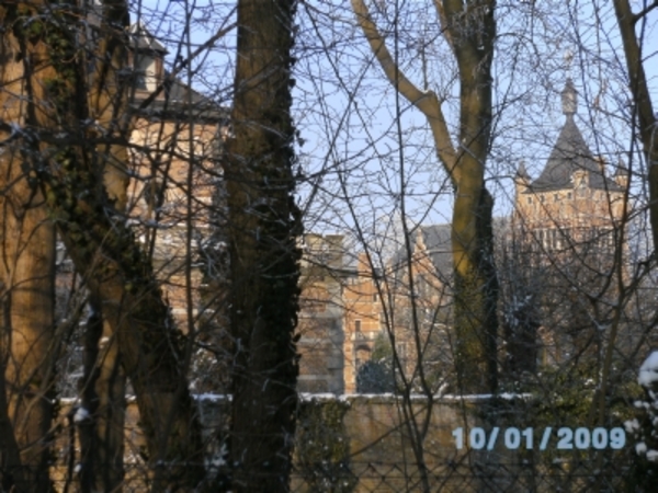 Door de bomen schijnt de zon (en een mooi zich op kasteel Cantinc