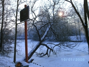 Nature morte