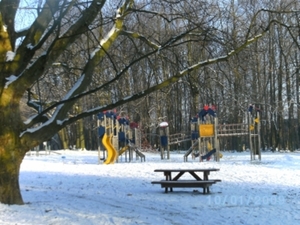 Kleur in de sneeuw