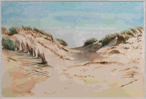 Duinen 2