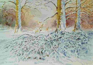 Sneeuw