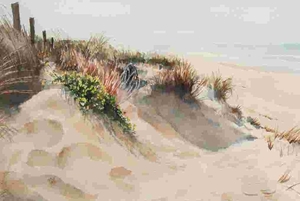 Duinen