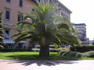 Toscana 5 006 [640x480]