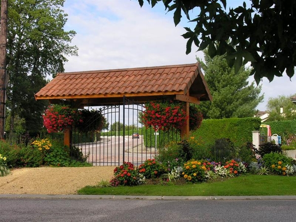 hang- en klimplanten 40 (Medium) (Medium)