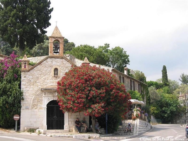 hang- en klimplanten 56 (Medium) (Medium)