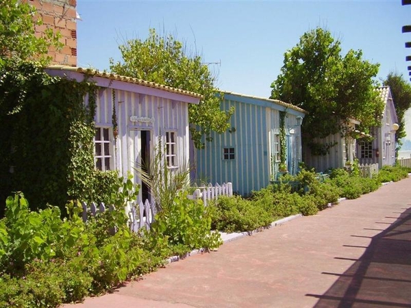 hang- en klimplanten 67 (Medium) (Medium)