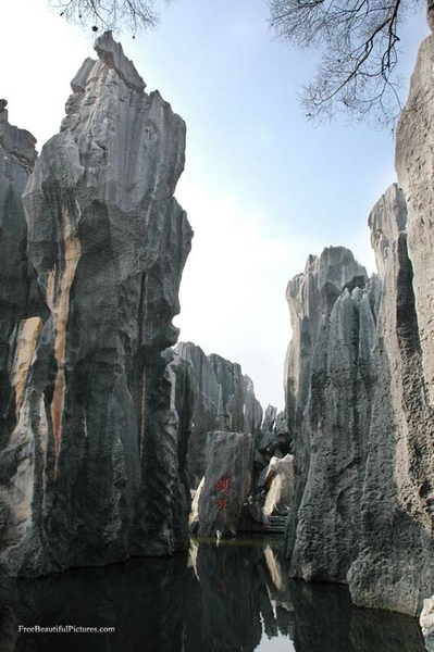 0                                           1 stone_forrest_27