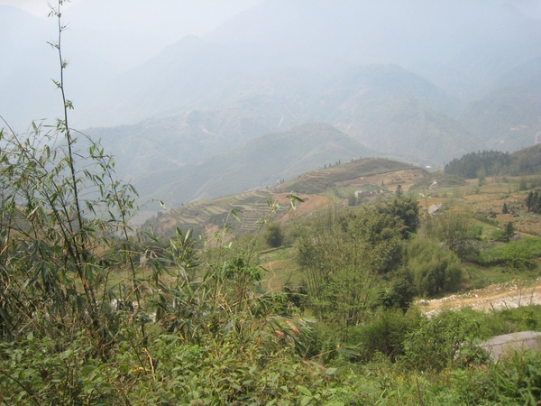 Sapa 009