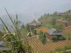 Sapa 017