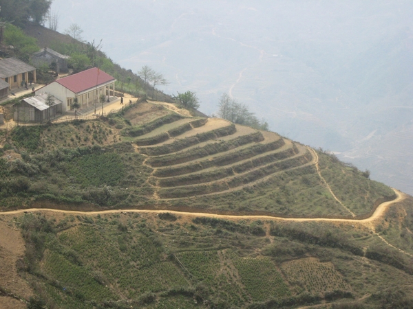 Sapa 029