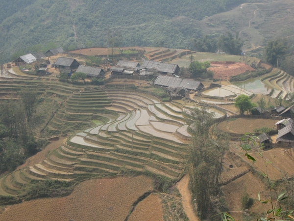 Sapa 096