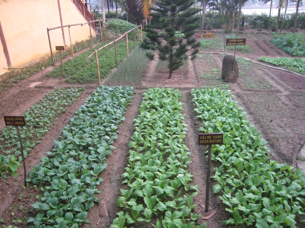 Pho Hoi Riverside resort8