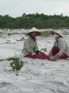 Vietnam2009 (1)