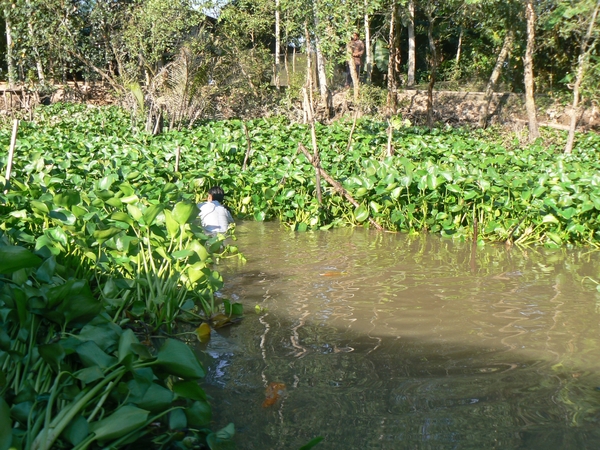 Vietnam2009 (140)