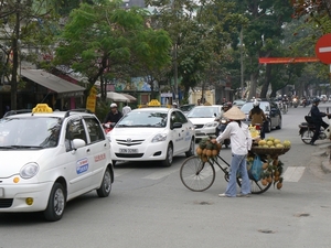 Vietnam-prospectie-7januari (10)