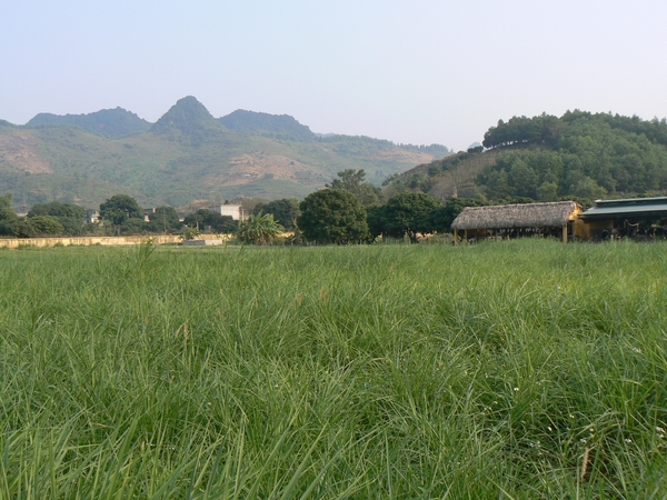 Vietnam-prospectie-9januari (9)