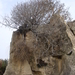 The Tombs of the Kings...