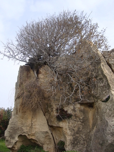 The Tombs of the Kings...