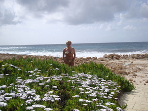 Tussen de bloemen...