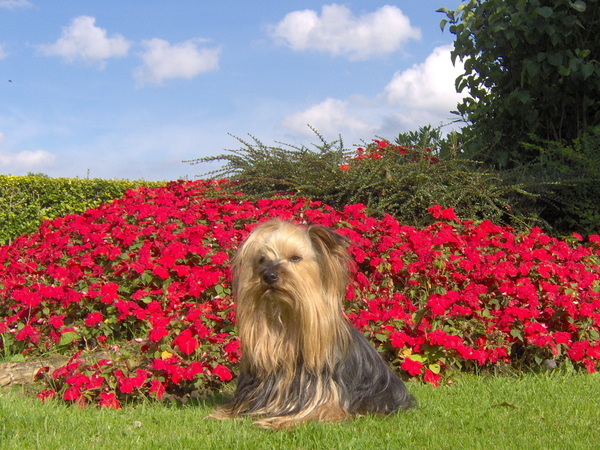 Rusty poseert voor de 