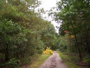 de zandweg